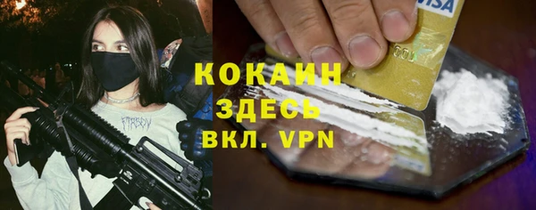 сатива Белоозёрский