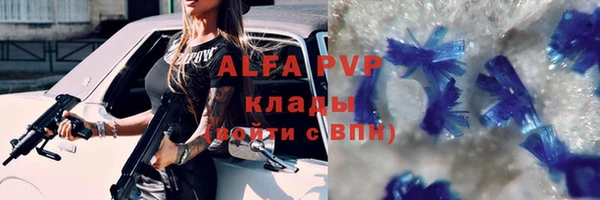 стаф Беломорск