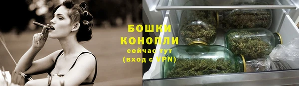 сатива Белоозёрский