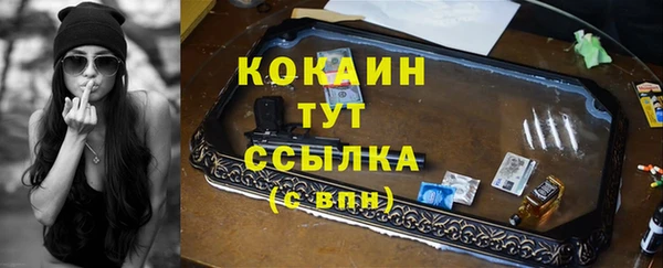 стаф Снежногорск
