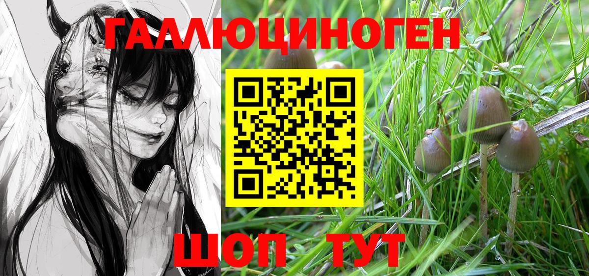 Галлюциногенные грибы Cubensis  Вход с VPN  купить   Корсаков 