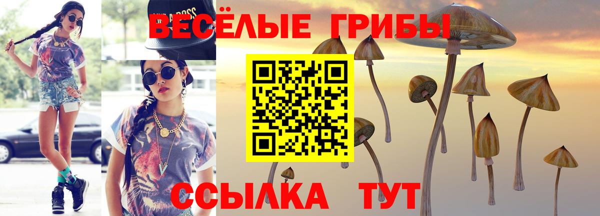 Псилоцибиновые грибы Psilocybe Корсаков